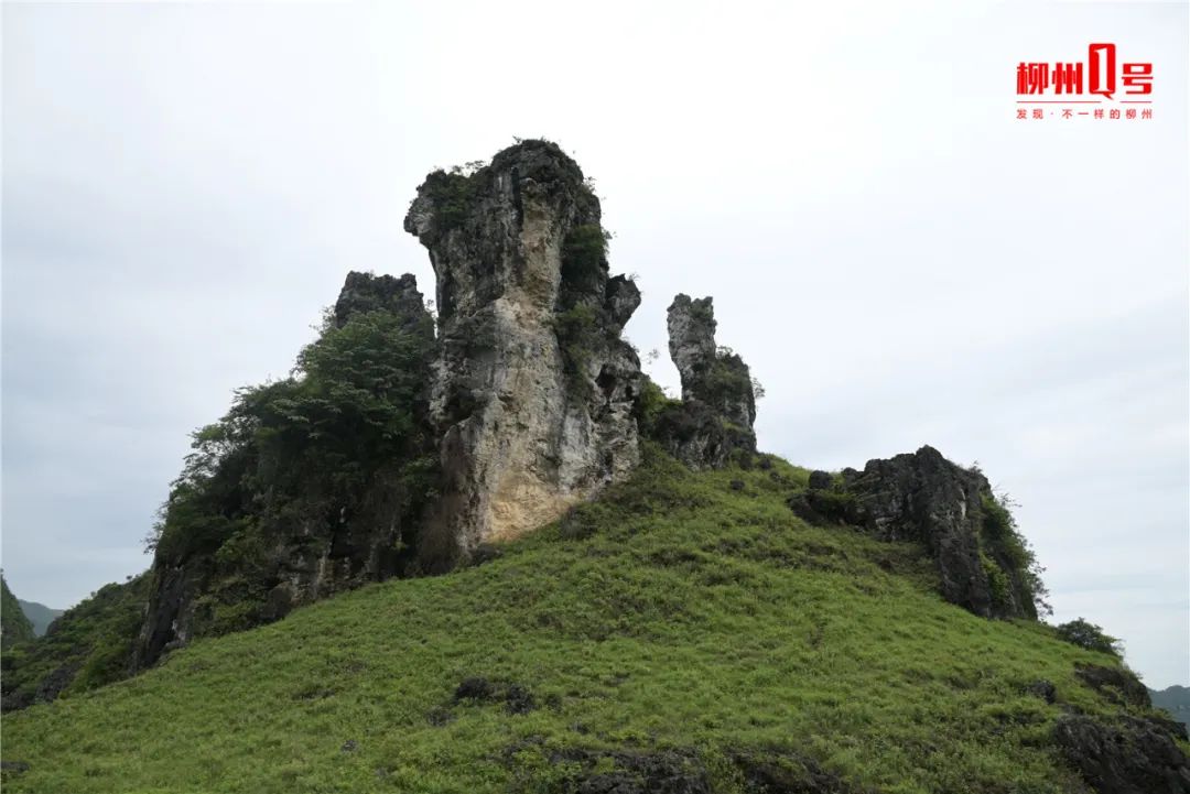 DƬ